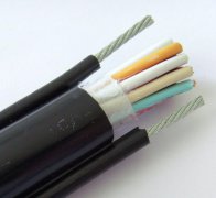 帶鋼絲電動(dòng)葫蘆電纜、行車電纜、起重機(jī)電纜