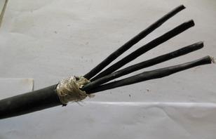 ATGTNS-FYS，ATGTNSP-FYS環(huán)保防蟻鼠電纜